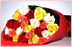 islandrose
