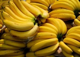 lakatan bananas