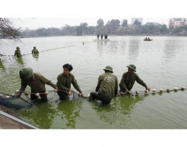 vietnam turtle mission