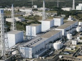 Daiichi Fukushima Nuclear Plant