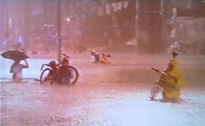 Falcon Tropical Storm