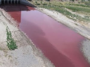 Texas lake turns red Texas Lake turns bloody red