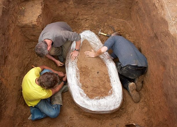 Coins Buried for Three Decades at the Field in Jersey