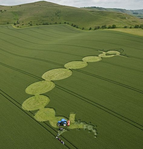 Crop Circle Appeared in Picturesque Field in Wiltshire