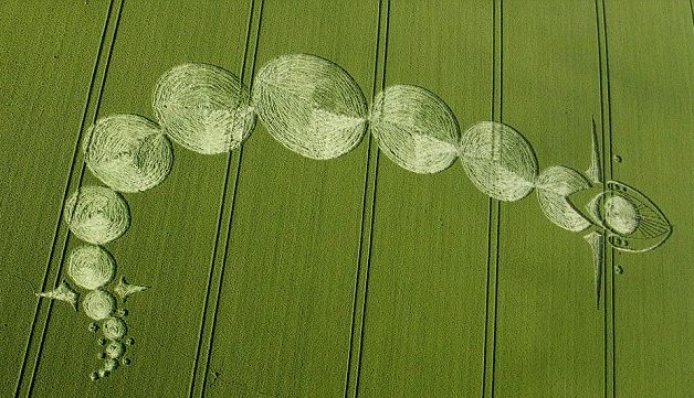 Crop Circle Appeared in Picturesque in Wiltshire